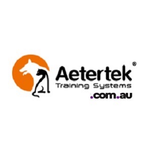 Aetertek Global Logo